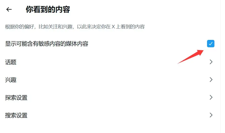 推特敏感限制选项